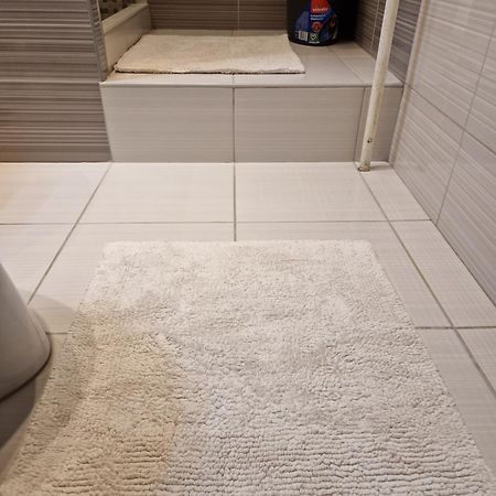 Erzsebet Apartman, Free Parking Budapest Bagian luar foto